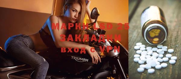 амф Аркадак
