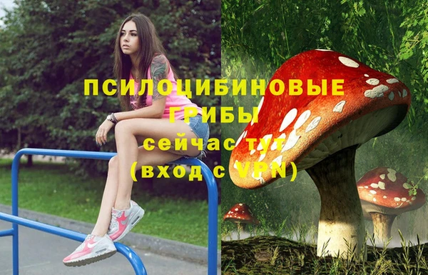 соль ск Арсеньев