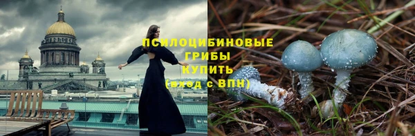 амф Аркадак